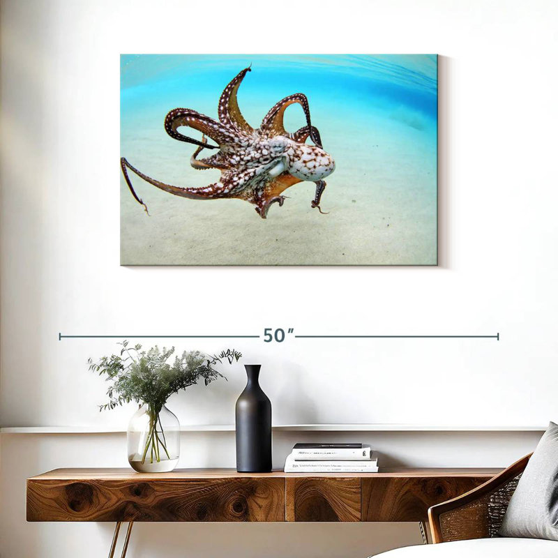 Pieuvre sauvage de l'océan Brampt, H 24 po x l 36 po