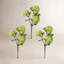 Viburnum vaporisateur 33 po -1985670666