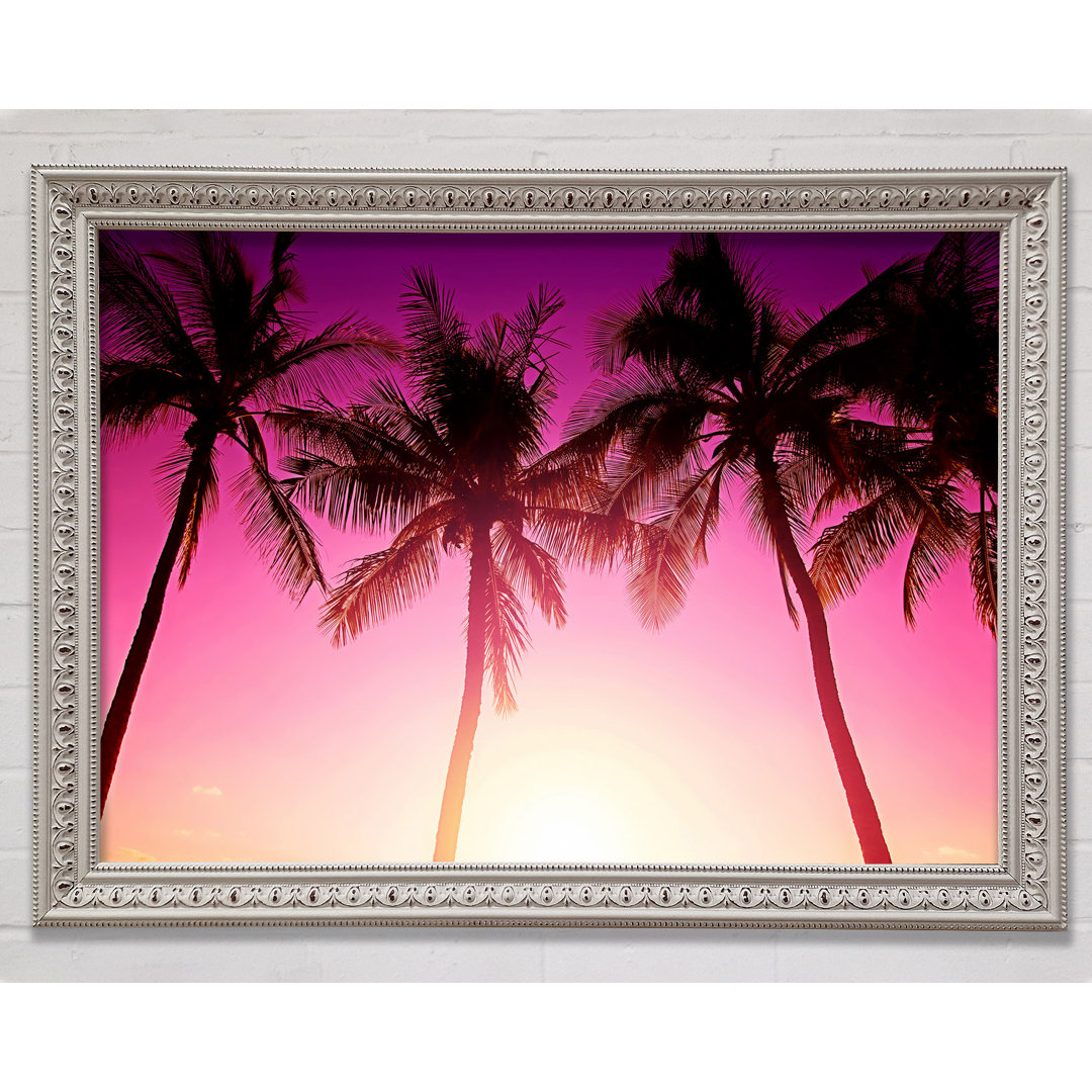 Los Angeles Sunset Palms - Druck