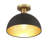 Darrah 1-Light Ceiling Light-1811460160