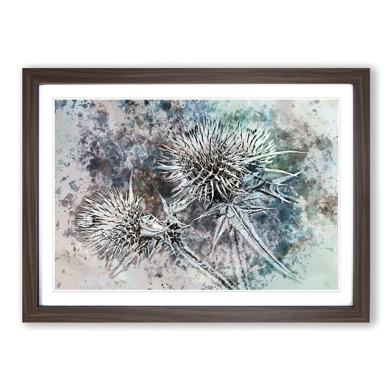 Thistle Flower in Abstract - Picture Frame Graphic Art Print on MDF, Walnut, 50cm H x 76cm W x 2cm D