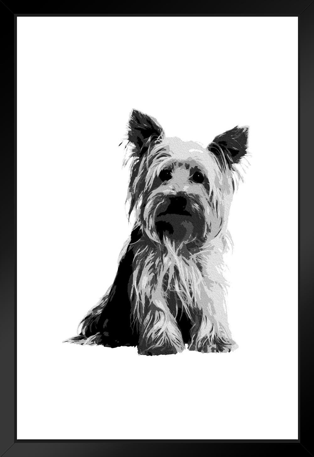 Latitude Run® Yorkshire Terrier Painting Black White Puppy Posters For