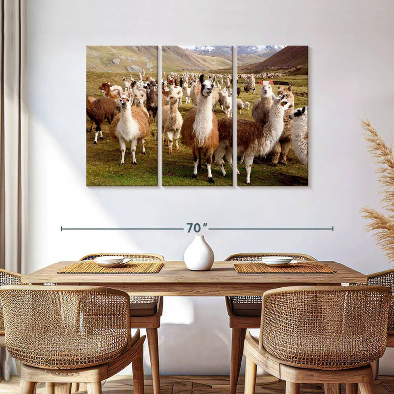 Brampt Peruvian Alpacas And Llamas, 36" H x 57" W