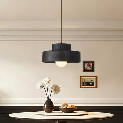 Modern Nordic Resin Pendant Light