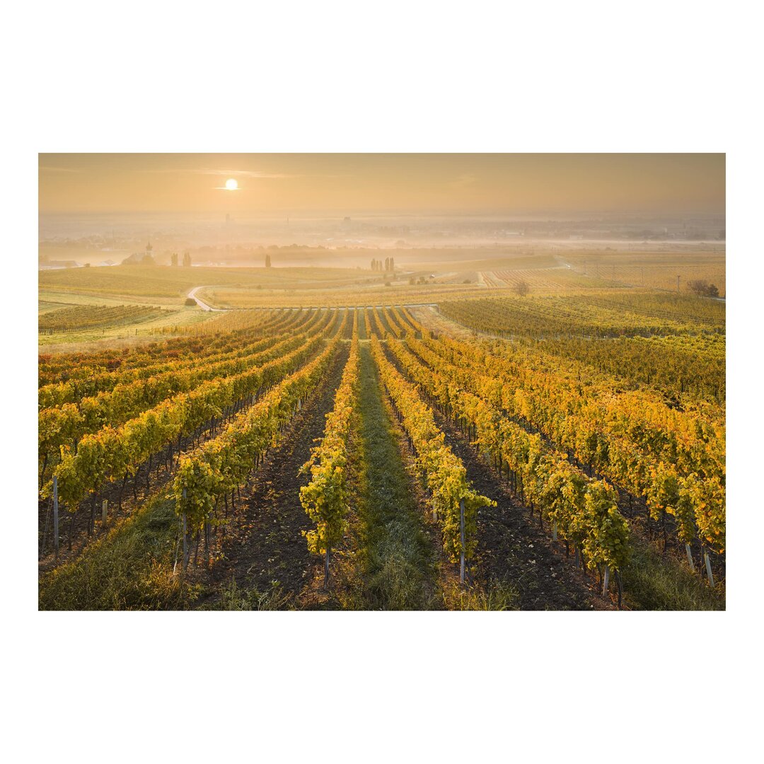 Strukturierte Tapete Autumnal Vineyards outside Vienna 1,9 m x 288 cm