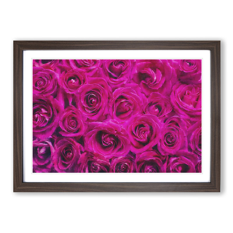 Wall of Bright Pink Roses - Picture Frame Painting Print, 24cm H x 33cm W x 2cm D, Walnut Framed