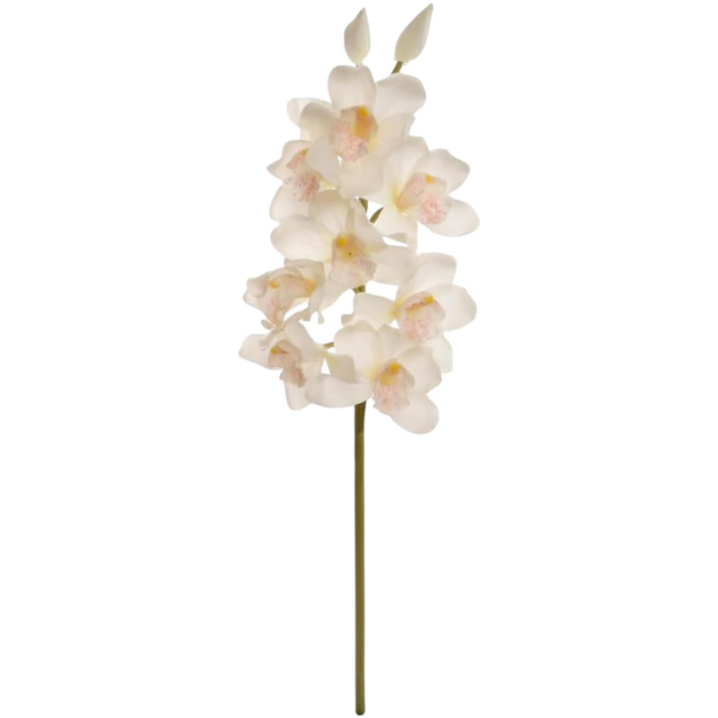 30" Cymbidium Orchid Stem - 3 Pack