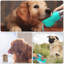 Mangeoire automatique pour animaux-65771002