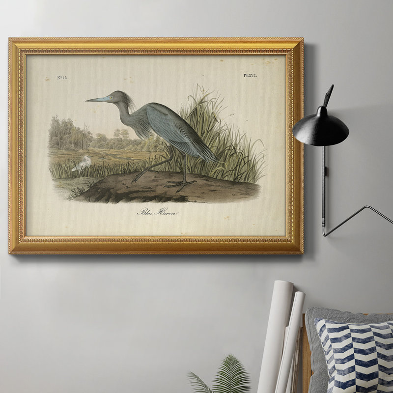 Audubons Blue Heron - peinture sur toile encadrée, H 18 po x l 27 po