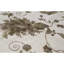 Hand-Knotted High-Quality Ivory Area Rug