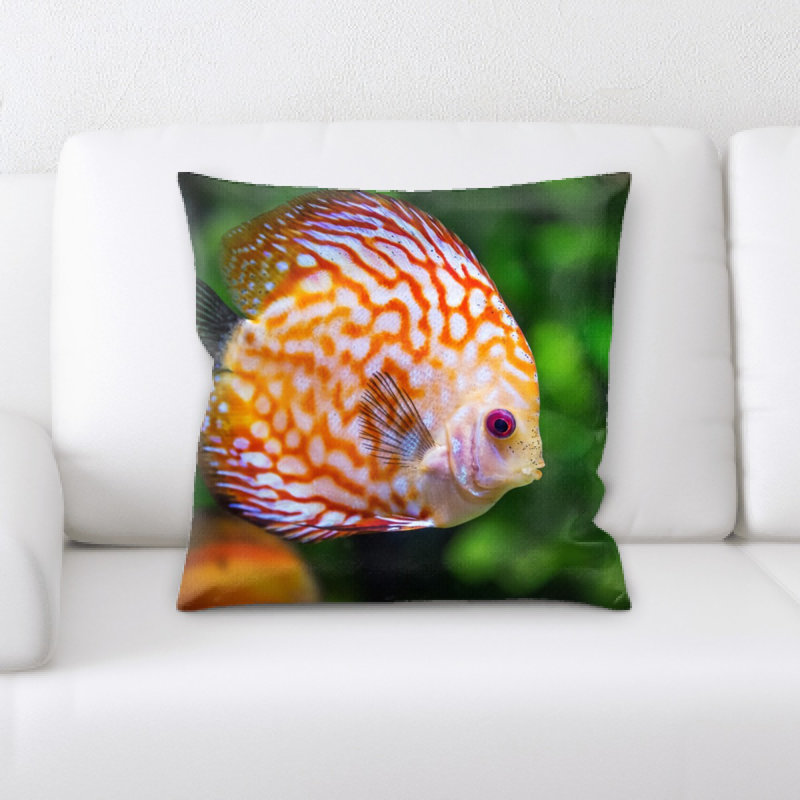 Coussin discus fish