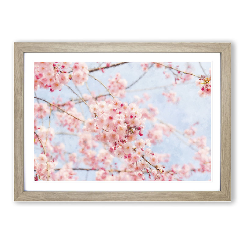 Pink Cherry Blossom Flowers Vol.9 - Framed Print, 27cm H x 36cm W x 2cm D, Oak Framed