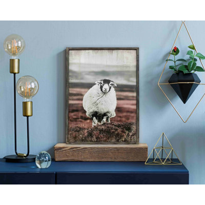 Graceful Standing Sheep On Canvas Print