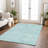  Machine Washable Indoor/Outdoor Chayden ACN1048 Rug-1708106306