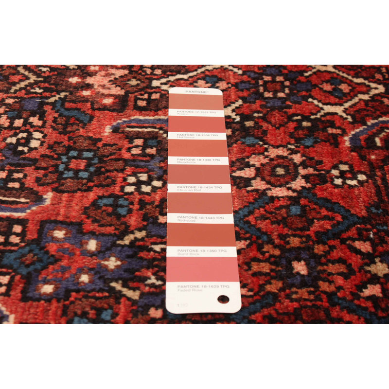 Andelz Red Rug 3'3" x 9'4"