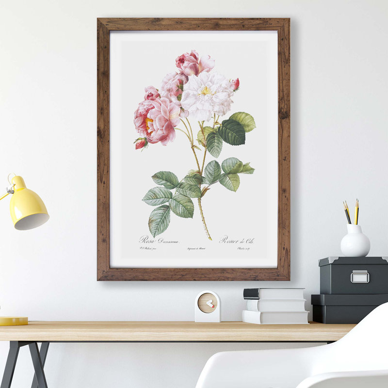 Damask Roses by Pierre-Joseph Redoute - Single Picture Frame Painting, Walnut, 24cm H x 33cm W x 2cm D