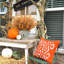 10 buis artificiels automne