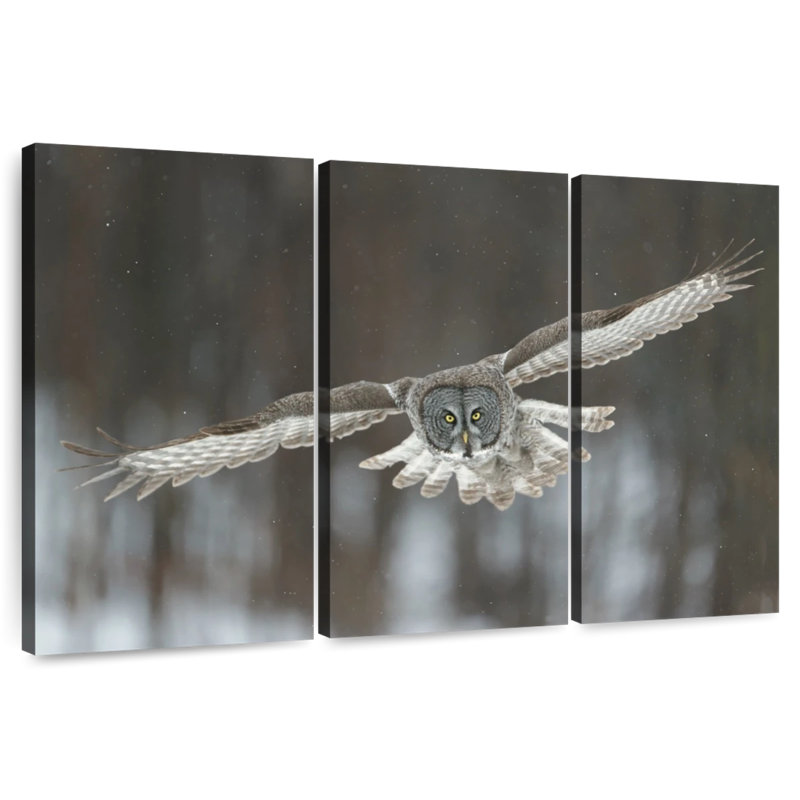 Flying Great Gray Owl, 28" H x 45" W