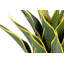 60cm Faux Agave Plant in Pot