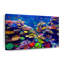 Paysage vibrant sous l'eau-17417928