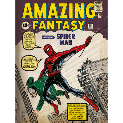 Spider-Man Issue I Poster Graphic Art Print
