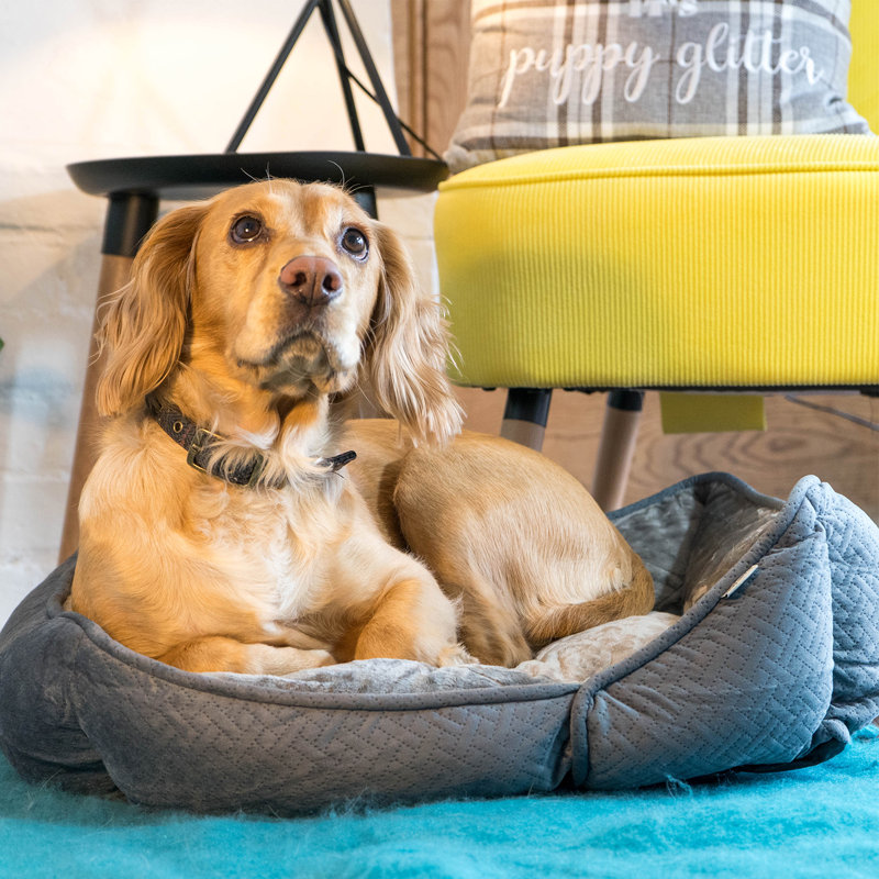 Geometric Pet Bolster Cushion in Dark Grey, Large