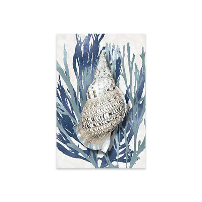 Coquille de corail bleu turquoise, impression sur verre acrylique