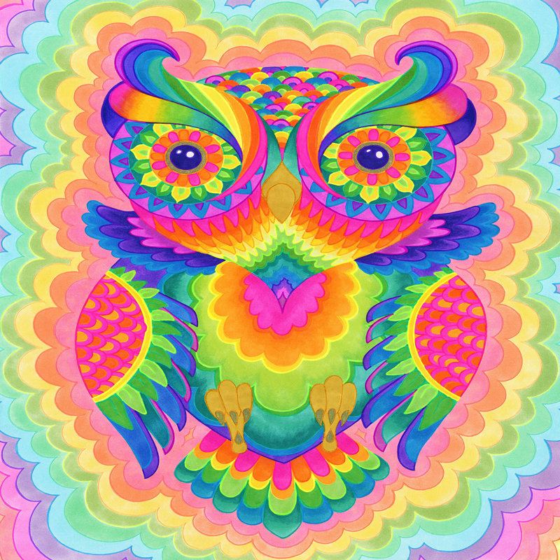 Ensemble de housse de couette en microfibre DiaNoche par Rachel Brown - Cosmic Owl