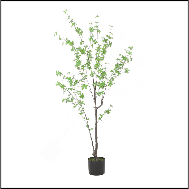 150CM ARTIFICIAL DISC LEAF TREE, 59.1" H x 31.5" W x31.5" D