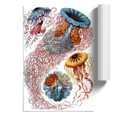 Jellyfish by Ernst Haeckel - Frameless Print
