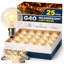 25 ampoules incandescentes 5 watts G40 blanc chaud E12 / base candélabre