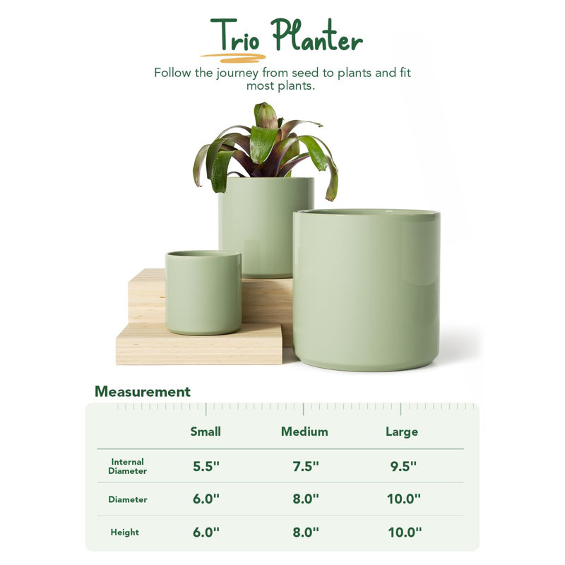 Olive Green Ceramic Indoor Planter Set with Drainage