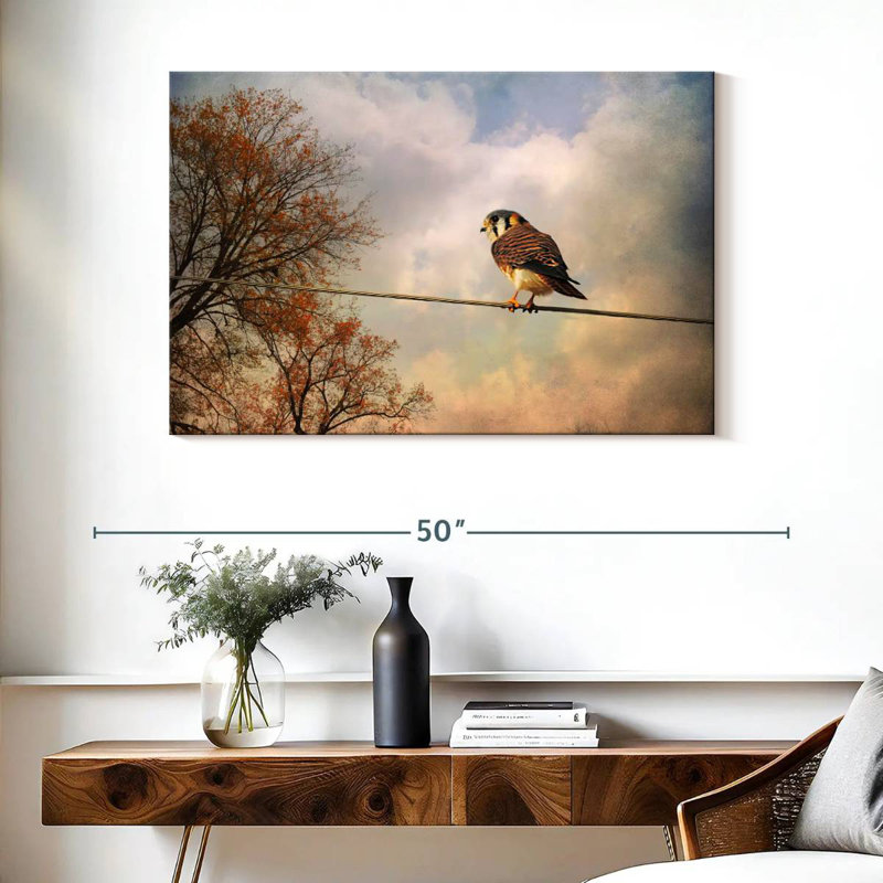 Brampt American Kestrel In Autumn, 26" H x 39" W