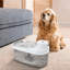 Fontaine à boire semi-transparente pour chat Modern Pet
