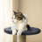 Scratching Post 70 cm - Stable Cat Multi-Level Climbing Tree