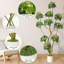 Arbre de parasol artificiel 5/6 / 7ft en pot de fleurs blanc, faux schefflera multi-troncs pour décoration de porche de bureau intérieur-1895687144