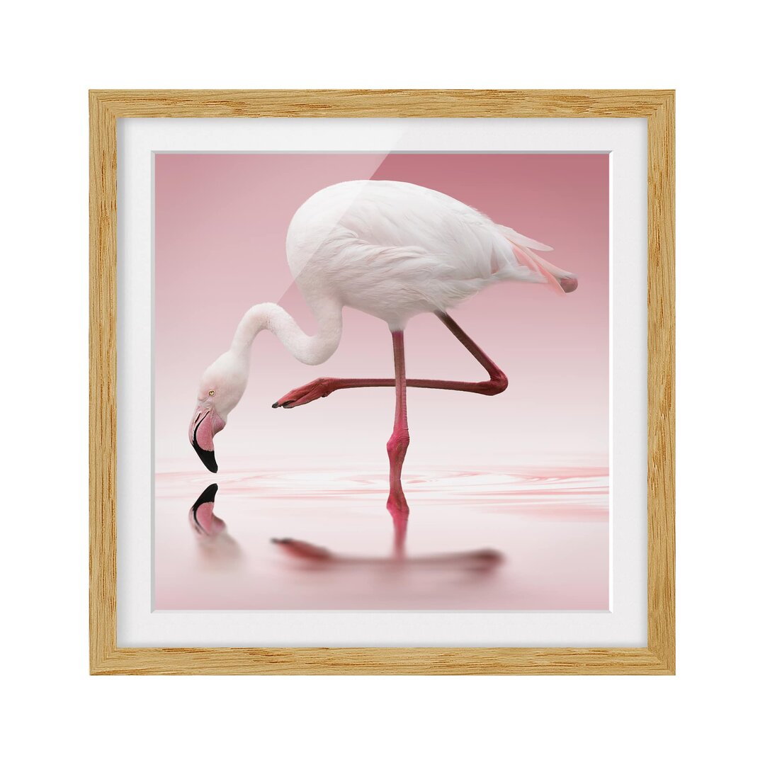 Gerahmtes Poster Flamingo Dance