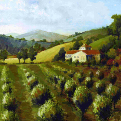 " Napa Dream 2 "