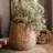 Nairobi Pot Planter-90825230