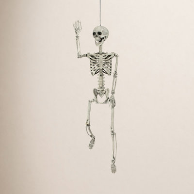 36" Plastic Skeleton