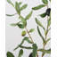 Large Olive Branch 46"