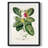 Chop III -Gallery Wrapped Canvas-117796753-117796755
