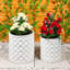 Tremee Planter