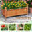 60'' Tall Raised Garden Bed w/ Diamond Lattice Trellis Drainage Holes Outdoor-1798320198
