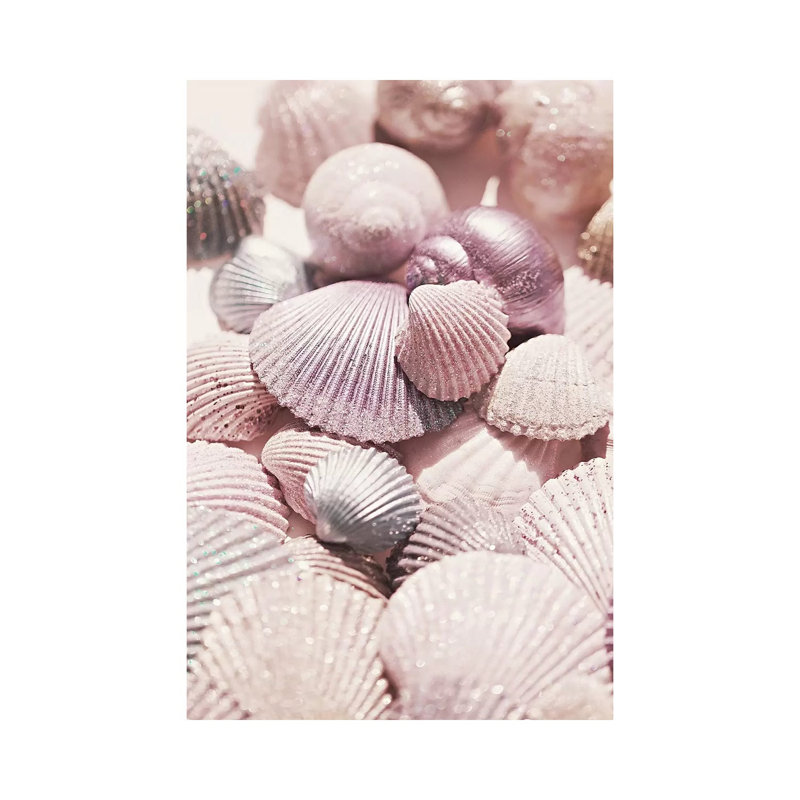 Shells And Glitter by Monika Strigel - Wrapped Canvas Painting, 20.32 cm H x 30.48 cm W