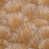 Brown selected