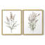 Reproduction encadrée Dicat Botanical I-Premium - prête à être accrochée - aucun clou requis - aucun clou requis-984118651-984118649
