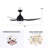 Asura 52" 3 - Blade Propeller Ceiling Fan with remote control and light kit included