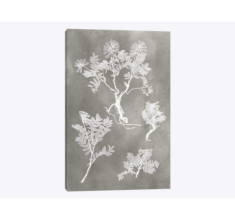«Herbarium Study II», impression sur toile tendue, H 12 po x l 8 po x P 0,75 po
