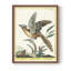 «Pastel Birds IV», reproduction encadrée - bois massif-198858880-198858904